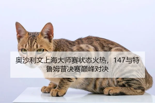奥沙利文上海大师赛状态火热，147与特鲁姆普决赛巅峰对决